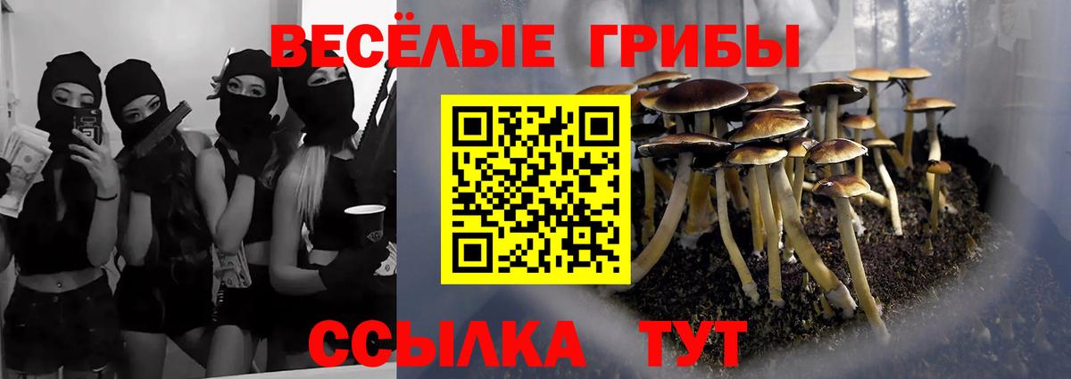 Новосибирск  закладки  Вход с VPN  Псилоцибиновые грибы Magic Shrooms 