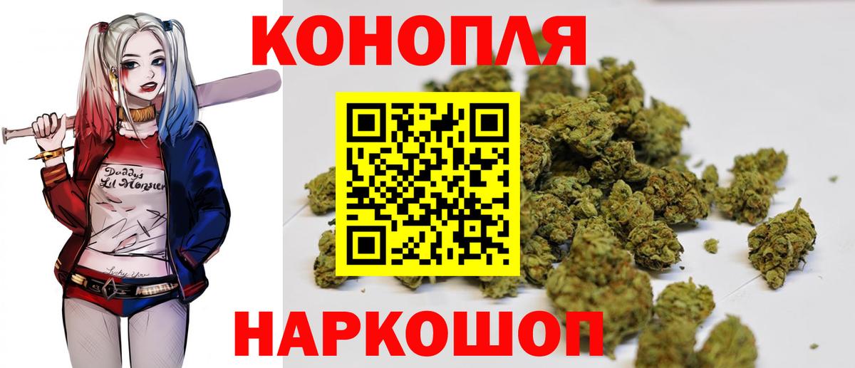 Бошки марихуана семена Новосибирск